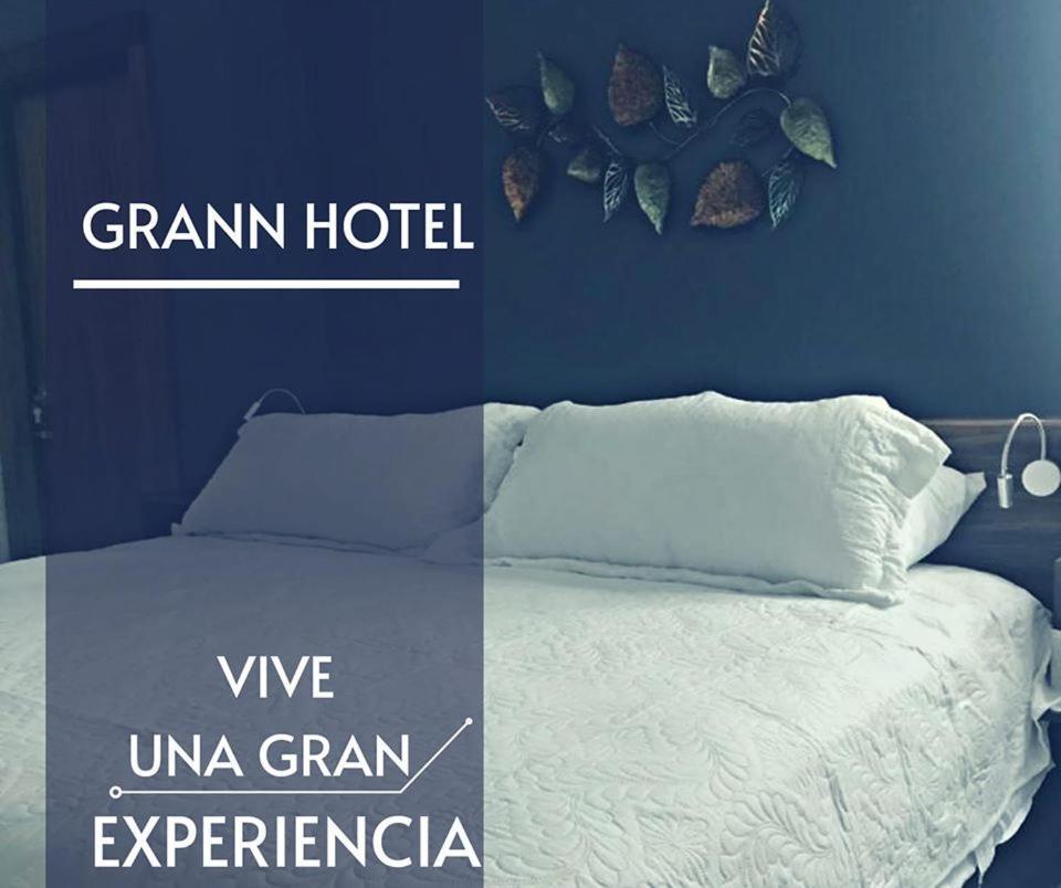 Grann Hotel Ciudad Valles Εξωτερικό φωτογραφία